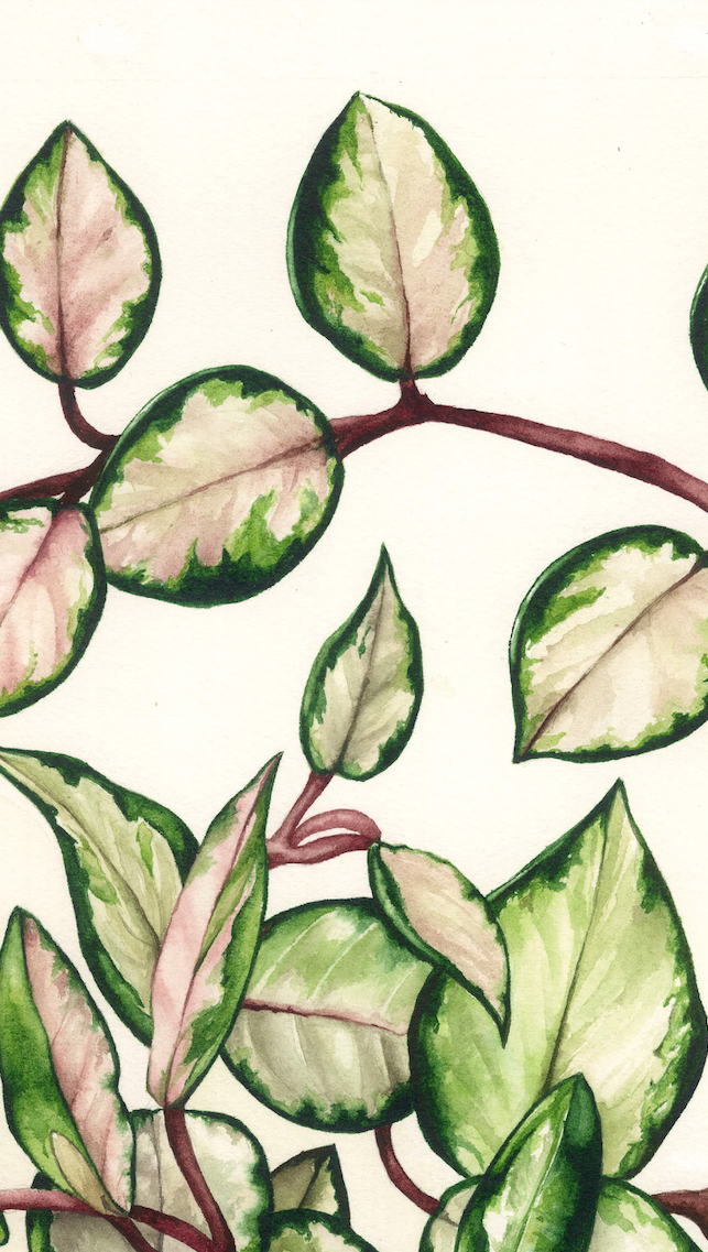 Zrzut ekranu 2022-02-10 o 21.55.23