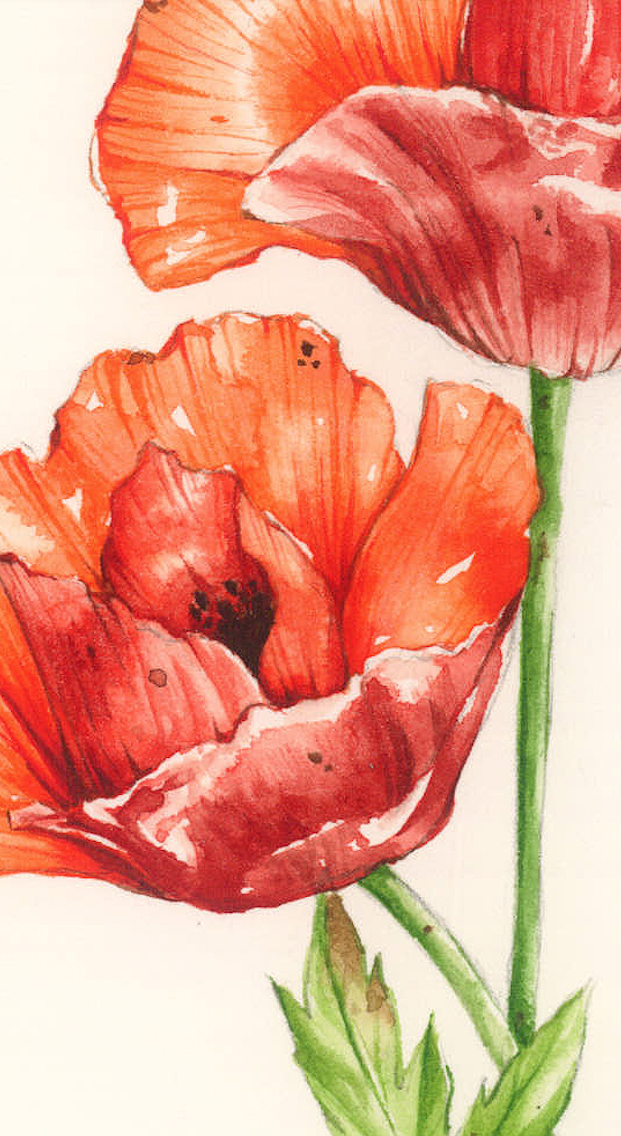 Zrzut ekranu 2022-02-10 o 22.02.02