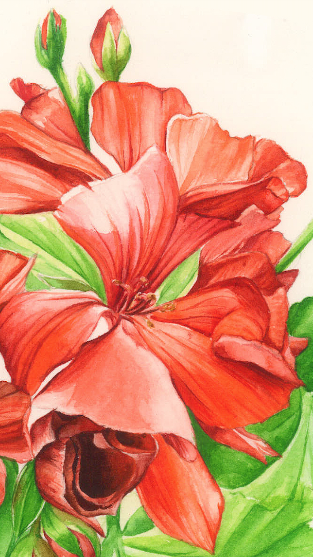 Zrzut ekranu 2022-02-10 o 22.05.34