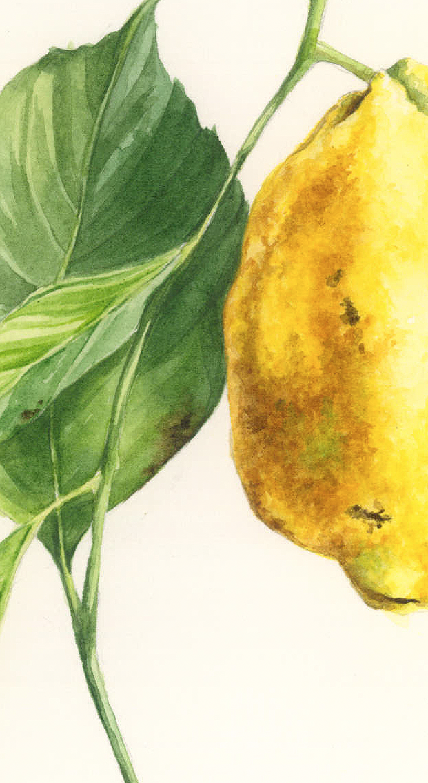 Zrzut ekranu 2022-02-8 o 16.46.34