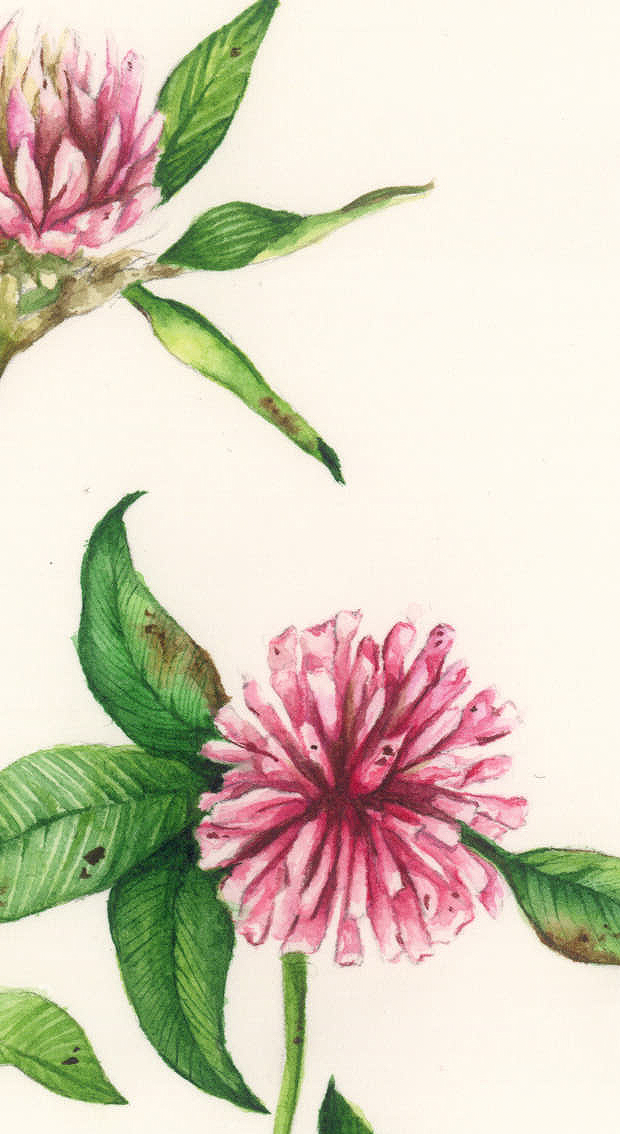 Zrzut ekranu 2022-02-8 o 17.20.35